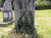 14-23 Palócz Sándorné